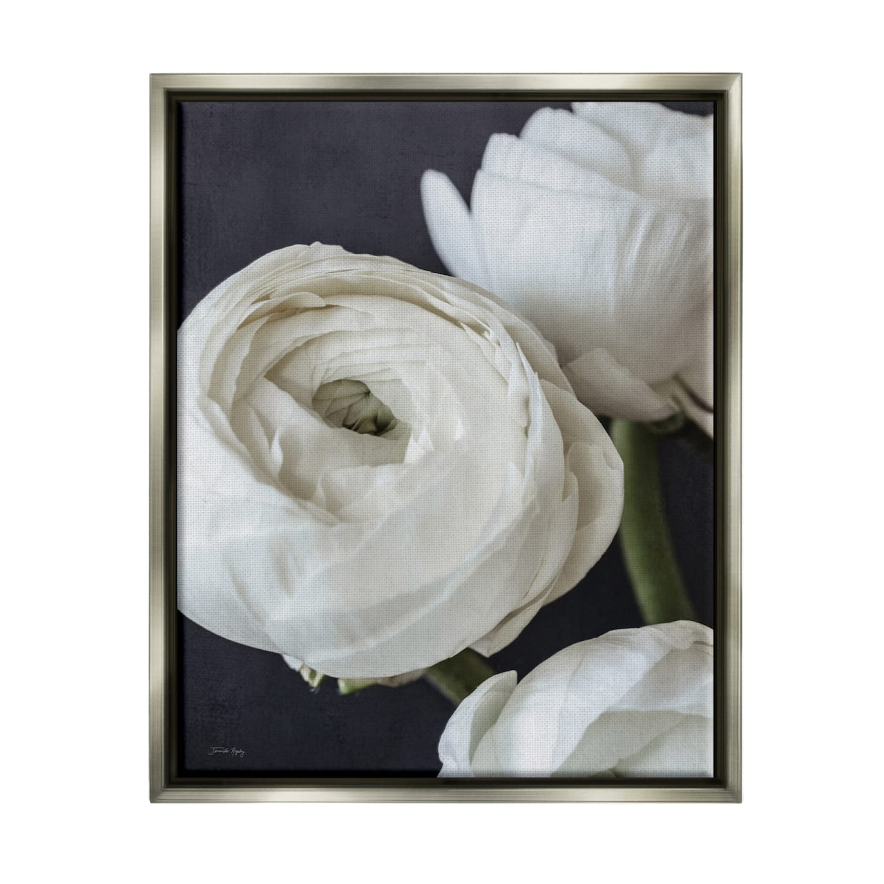 Stupell Industries Budding Ranunculus Flower Blooming Framed Floater Canvas Wall Art